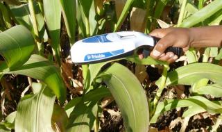 Helping farmers be in the know side through technology